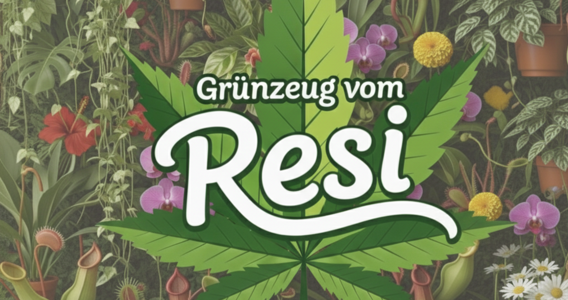 Grünzeug vom Resi